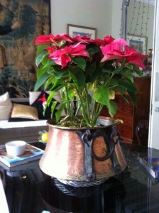 Pink poinsettia...upstairs lounge